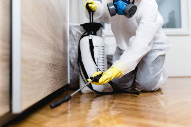 Best Pest Control Near Me in Utica, NE