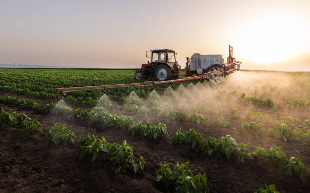 Best Local Pest Control Services  in Utica, NE