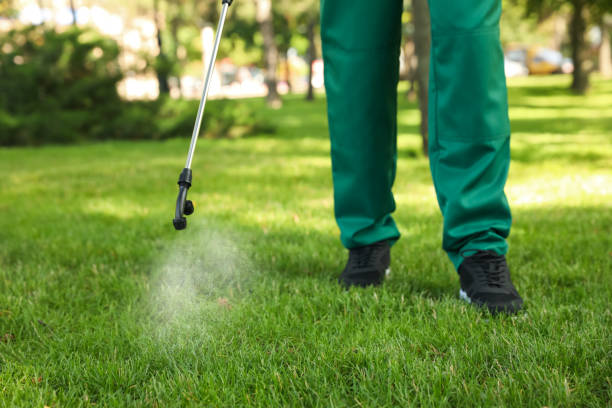 Best Emergency Pest Control  in Utica, NE