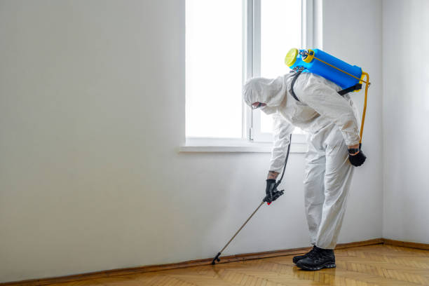 Best Flea Control Services  in Utica, NE
