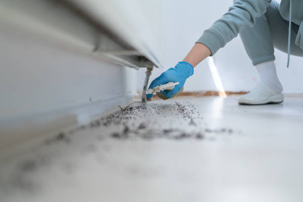 Best Best Pest Control Companies  in Utica, NE